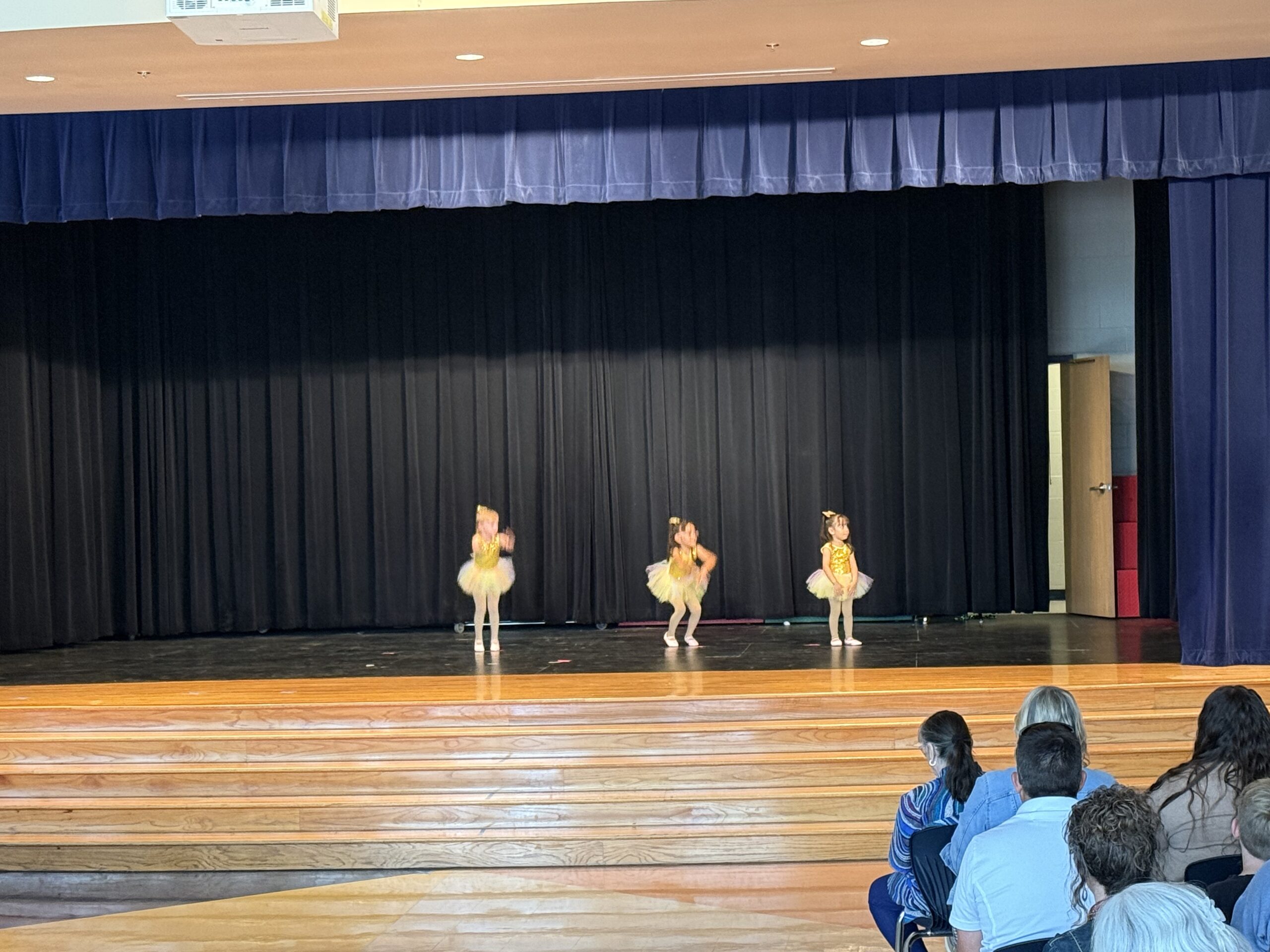 Inspire Dance Family dancers